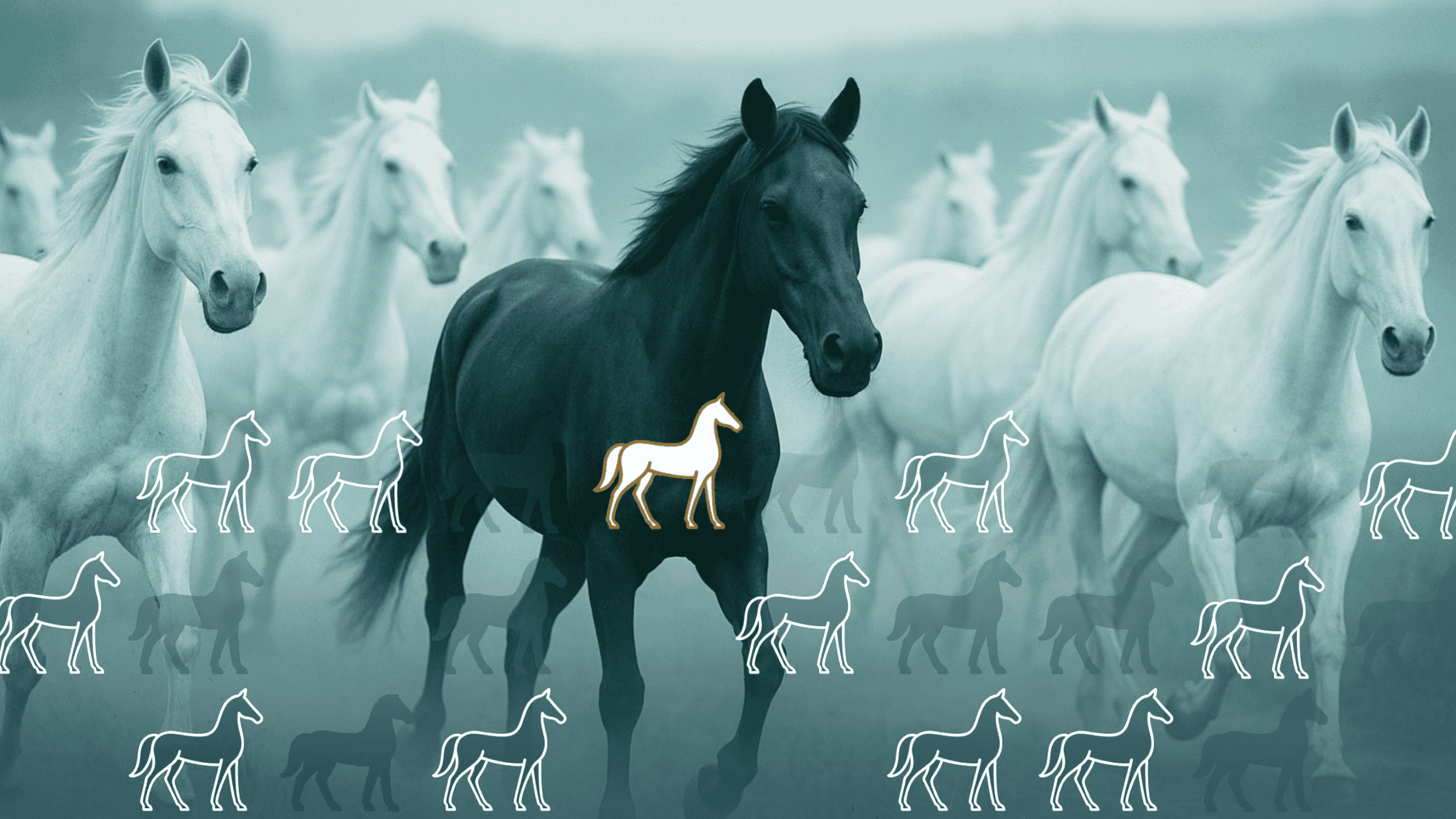 Symbolisches Herobild für Sichtbarkeit und klare Positionierung von OwnBranding